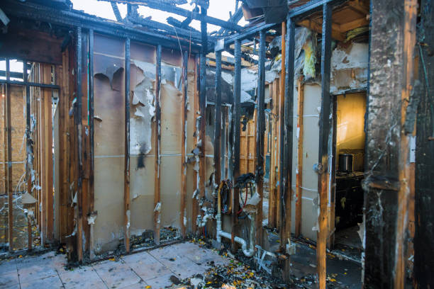 Professional Fire Damage Repair technician working in Arlington, VA